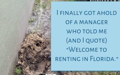 Lessons Learned from the Experienced Renter